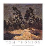 The Pool-Tom Thomson-Stretched Canvas