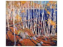 Thomson - The Canoe-Tom Thomson-Stretched Canvas