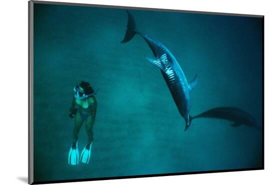 Photographic Print, , large