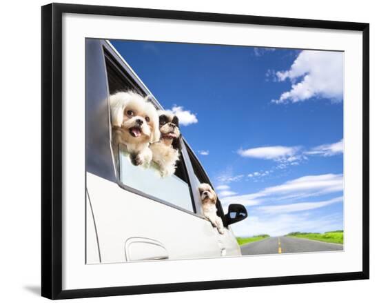 Premium Photographic Print, , large