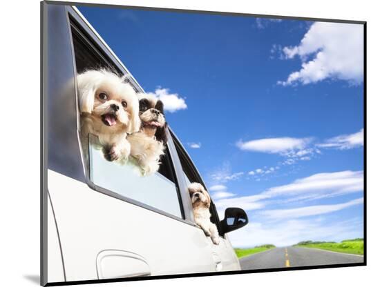 Photographic Print, , large