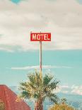 This Motel is for the Birds-Tom Windeknecht-Photographic Print