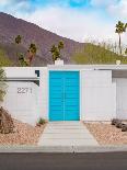 Teal Thunderbird in Palm Springs-Tom Windeknecht-Photographic Print