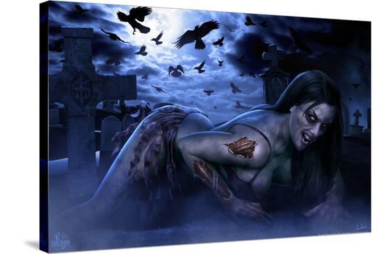 Stretched Canvas Print, , large