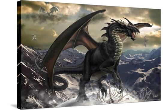 Stretched Canvas Print, , large