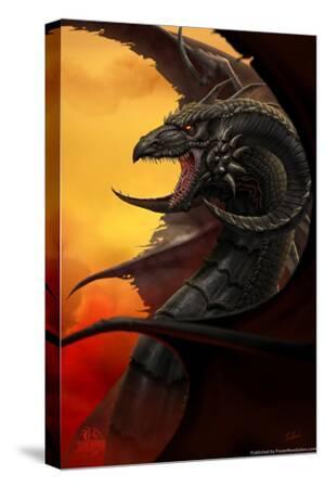 Stretched Canvas Print, , large