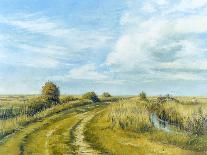 Burnham Norton Marshes, 2004-Tom Young-Giclee Print