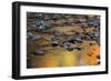 Tomahawk Creek, Leawood, Johnson County, Kansas, USA-Charles Gurche-Framed Photographic Print