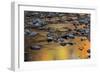 Tomahawk Creek, Leawood, Johnson County, Kansas, USA-Charles Gurche-Framed Photographic Print