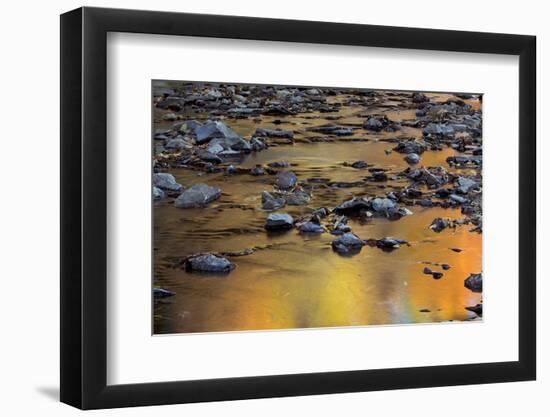 Tomahawk Creek, Leawood, Johnson County, Kansas, USA-Charles Gurche-Framed Photographic Print