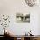 Tomando Mate - Argentina-null-Mounted Photographic Print displayed on a wall
