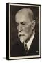 Tomas Garrigue Masaryk-null-Framed Stretched Canvas