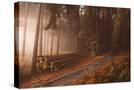 Stretched Canvas