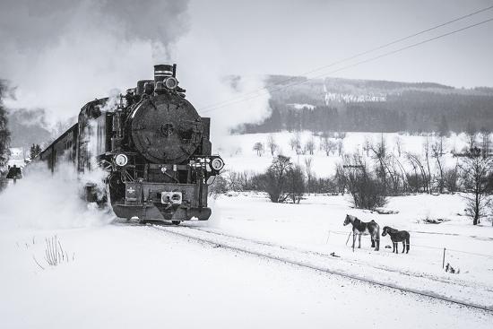 Photographic Print, , large