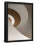 Essential Black