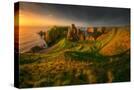 Stretched Canvas