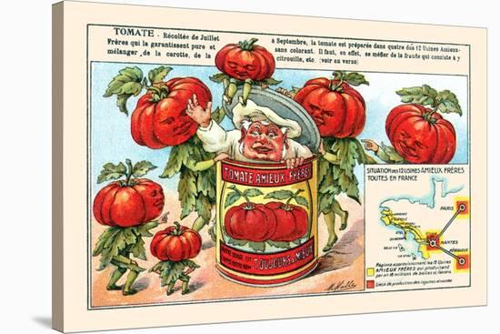 Tomate (Tomatoes)-M. Halle-Stretched Canvas