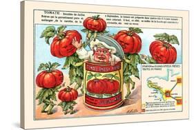 Tomate (Tomatoes)-M. Halle-Stretched Canvas