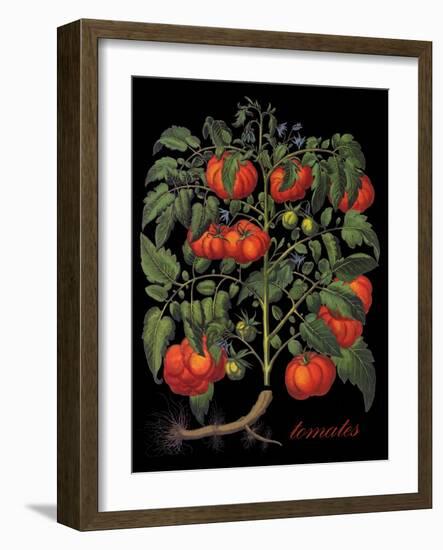 Tomates-Mindy Sommers-Framed Giclee Print