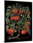 Tomates-Mindy Sommers-Mounted Giclee Print