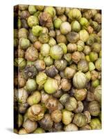 Tomatillos in Market, Guanajuato, Mexico-Merrill Images-Stretched Canvas