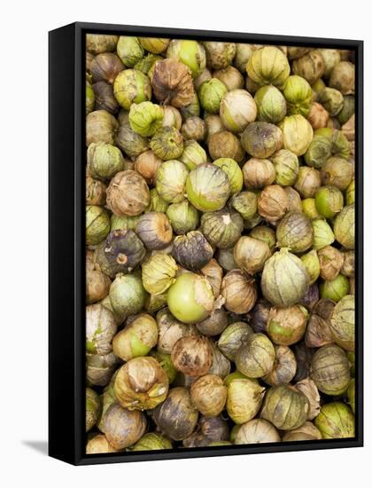 Tomatillos in Market, Guanajuato, Mexico-Merrill Images-Framed Stretched Canvas