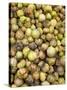 Tomatillos in Market, Guanajuato, Mexico-Merrill Images-Stretched Canvas