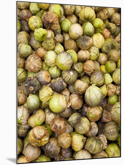 Tomatillos in Market, Guanajuato, Mexico-Merrill Images-Mounted Premium Photographic Print