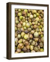 Tomatillos in Market, Guanajuato, Mexico-Merrill Images-Framed Photographic Print
