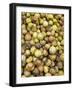 Tomatillos in Market, Guanajuato, Mexico-Merrill Images-Framed Photographic Print