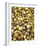 Tomatillos in Market, Guanajuato, Mexico-Merrill Images-Framed Photographic Print