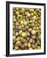 Tomatillos in Market, Guanajuato, Mexico-Merrill Images-Framed Photographic Print