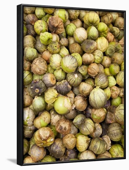 Tomatillos in Market, Guanajuato, Mexico-Merrill Images-Framed Photographic Print