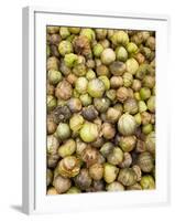 Tomatillos in Market, Guanajuato, Mexico-Merrill Images-Framed Photographic Print