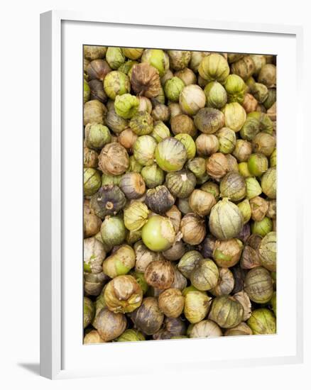 Tomatillos in Market, Guanajuato, Mexico-Merrill Images-Framed Photographic Print