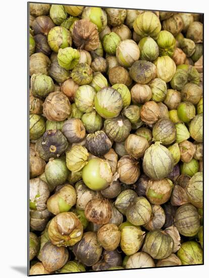 Tomatillos in Market, Guanajuato, Mexico-Merrill Images-Mounted Photographic Print