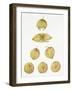 Tomatillos-Deborah Kopka-Framed Giclee Print