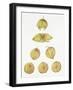 Tomatillos-Deborah Kopka-Framed Giclee Print