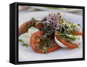 Tomato and Mozarella Salad, Brussels, Belgium, Europe-Martin Child-Framed Stretched Canvas