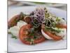 Tomato and Mozarella Salad, Brussels, Belgium, Europe-Martin Child-Mounted Photographic Print