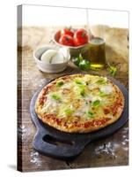 Tomato and Mozzarella Pizza with Basil-Paul Williams-Stretched Canvas