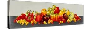 Tomato Display-Dianne Miller-Stretched Canvas