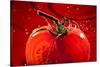 Tomato FreshSplash 2-Steve Gadomski-Stretched Canvas