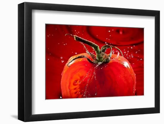 Tomato FreshSplash 2-Steve Gadomski-Framed Photographic Print