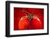 Tomato FreshSplash 2-Steve Gadomski-Framed Photographic Print