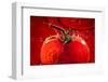 Tomato FreshSplash 2-Steve Gadomski-Framed Photographic Print