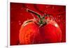 Tomato FreshSplash 2-Steve Gadomski-Framed Photographic Print