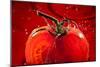 Tomato FreshSplash 2-Steve Gadomski-Mounted Photographic Print