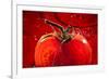 Tomato FreshSplash 2-Steve Gadomski-Framed Photographic Print