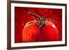 Tomato FreshSplash 2-Steve Gadomski-Framed Photographic Print